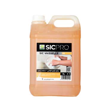 sic-v6